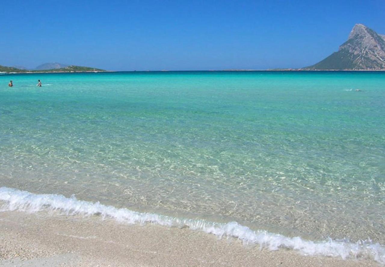 Brezza Di Mare Bed & Breakfast San Teodoro  Bagian luar foto